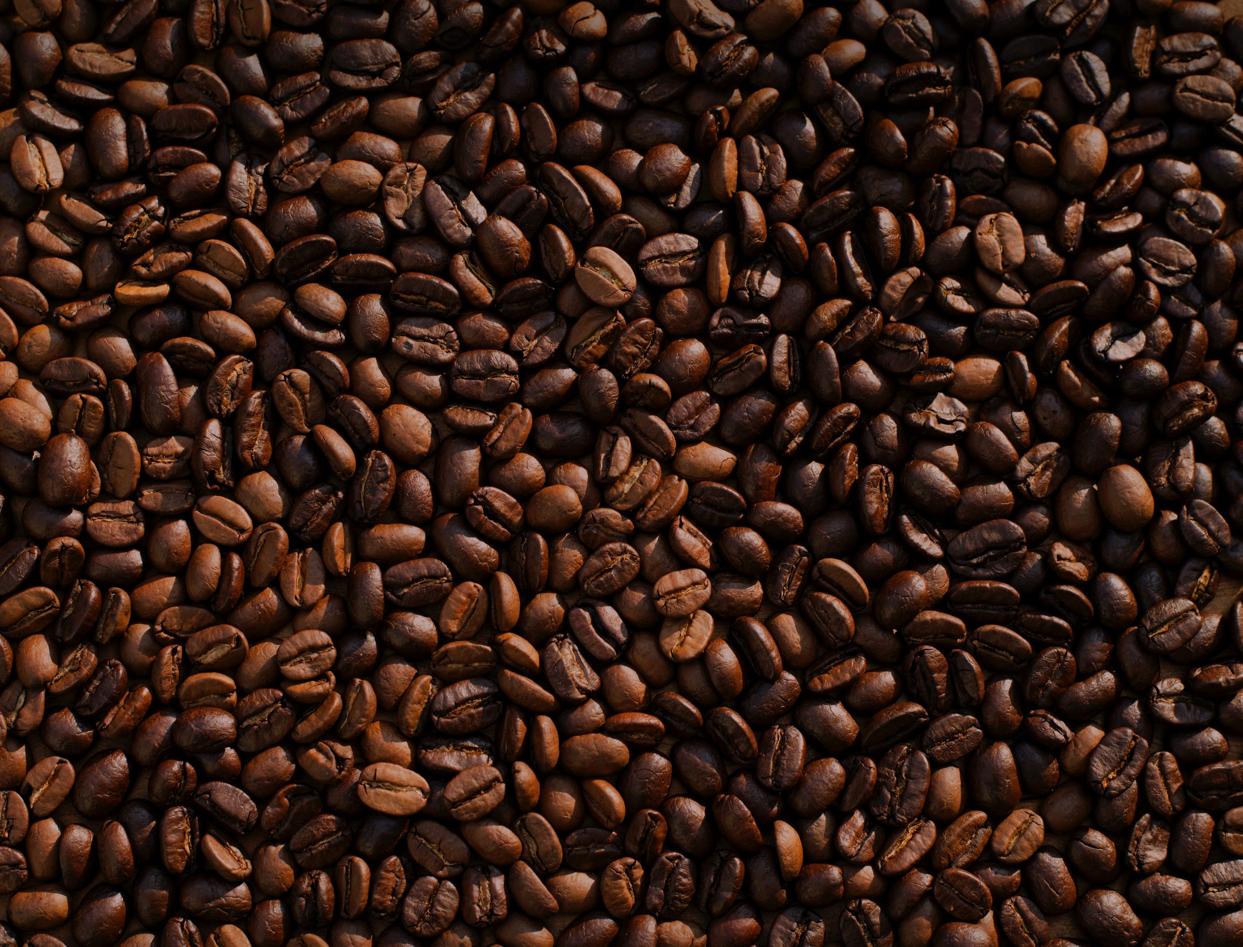 type of coffee bean